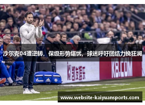 沙尔克04遭逆转，保级形势堪忧，球迷呼吁团结力挽狂澜