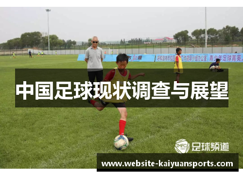 中国足球现状调查与展望
